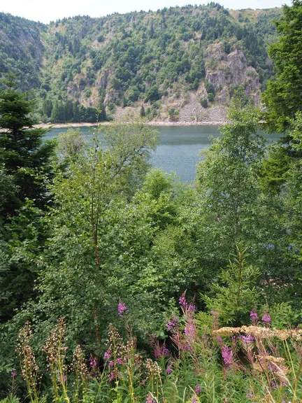 Lac Blanc, Elzas (Frankrijk)